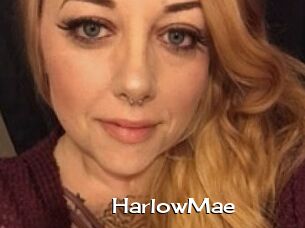 HarlowMae