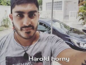 Harold_horny