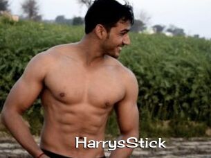 HarrysStick