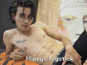 Harrys_bigstick