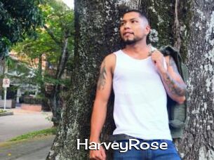 HarveyRose