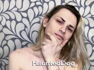 HauntedDog