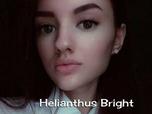 Helianthus_Bright