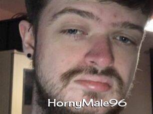 HornyMale96