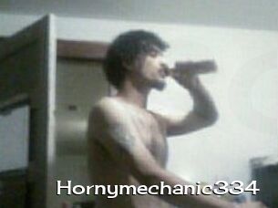 Hornymechanic334