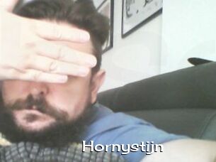 Hornystijn