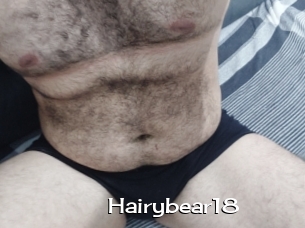 Hairybear18