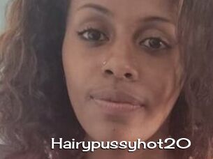 Hairypussyhot20