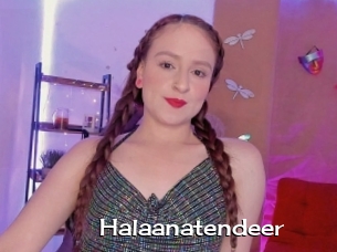 Halaanatendeer
