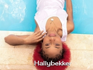 Hallybekker