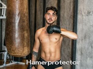 Hamerprotector