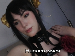 Hanaerosses
