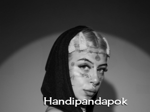 Handipandapok