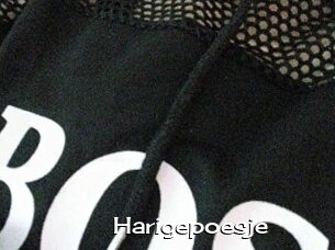 Harigepoesje