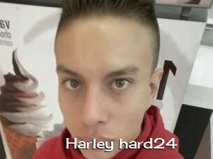 Harley_hard24