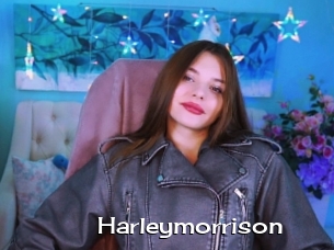 Harleymorrison