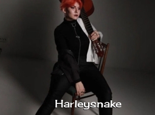 Harleysnake
