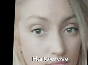 Harlowrose