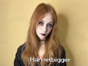 Harrietbigger