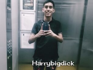 Harrybigdick