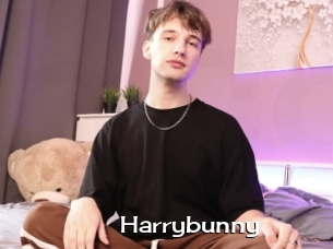 Harrybunny