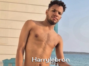 Harrylebron