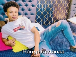 Harrymontanaa