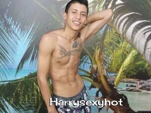 Harrysexyhot
