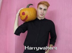 Harrywalters