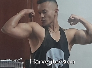 Harveytecson