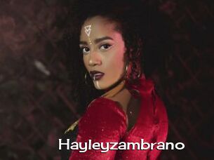 Hayleyzambrano