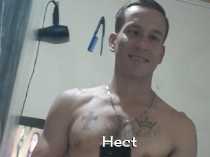 Hect