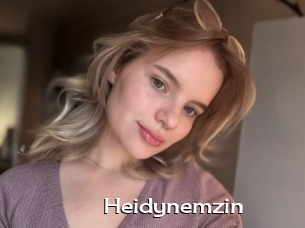Heidynemzin