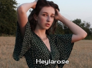 Heylarose
