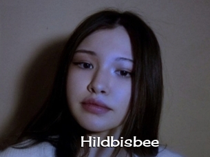 Hildbisbee