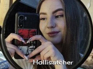 Hollisatcher
