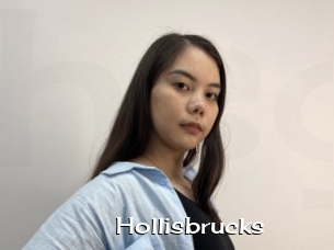 Hollisbrucks