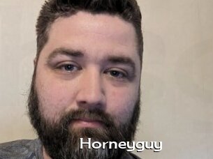 Horneyguy