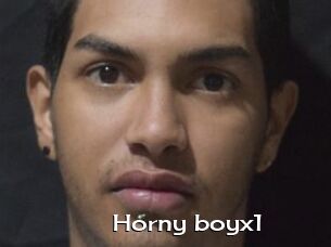Horny_boyx1