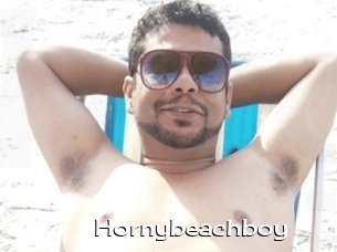 Hornybeachboy