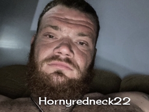 Hornyredneck22