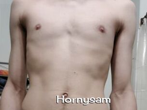 Hornysam