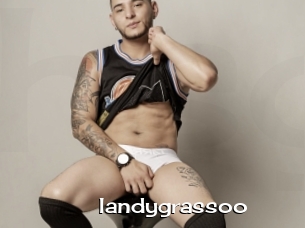 Iandygrassoo