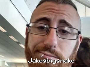 Jakesbigsnake