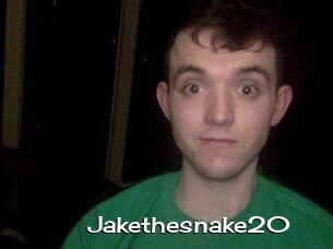 Jakethesnake20