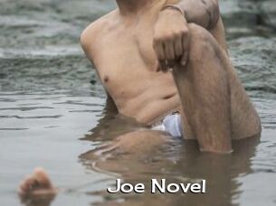 Joe_Novel