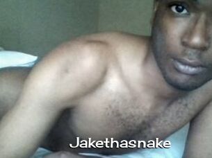 Jake_tha_snake