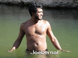 Joebernal
