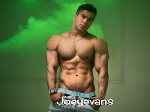 Joeyevans
