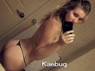 Kaebug